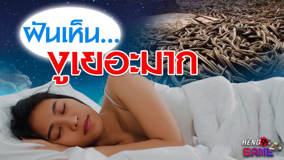 ฝันเห็นงูเยอะมาก
