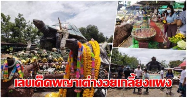 เลขเด็ดพญาเต่างอย