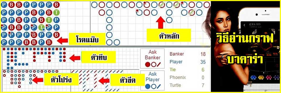 ตารางบาคาร่า (วิธีอ่านตารางบาคาร่า)