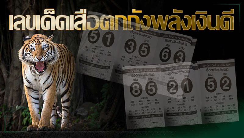 เลขเด็ดเสือตกถังพลังเงินดี คือ