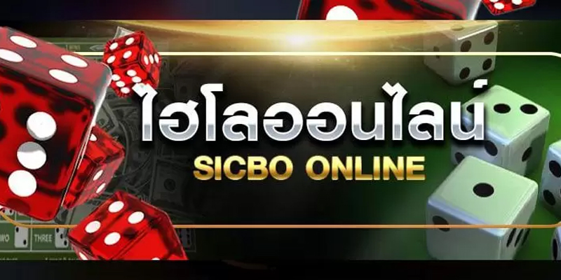 sicbo คือ