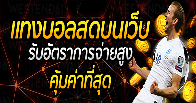 ทีเด็ด4เซียน-"Tips from 4 experts "