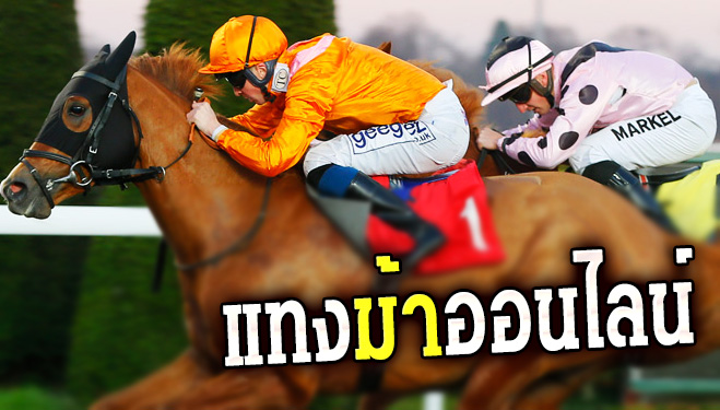 ม้าแข่งออนไลน์ 45-"Horse racing online 45"