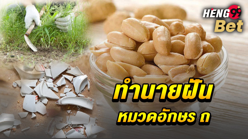 รูปภาพทำนายฝัน หมวดอักษร ถ ของ heng99