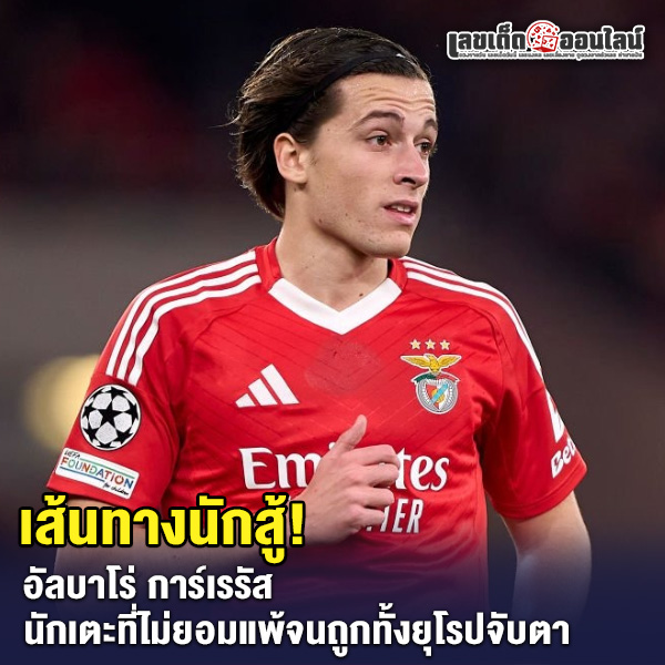 รูปภาพ อัลบาโร่ การ์เรรัส ของ lekdedonline