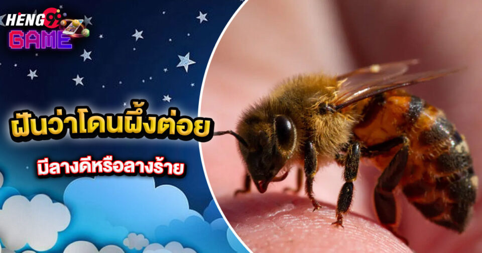 ฝันว่าโดนผึ้งต่อย - "lottery"