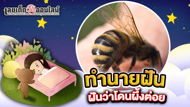 รูปภาพทำนายฝันว่าโดนผึ้งต่อยของ lekdedonline