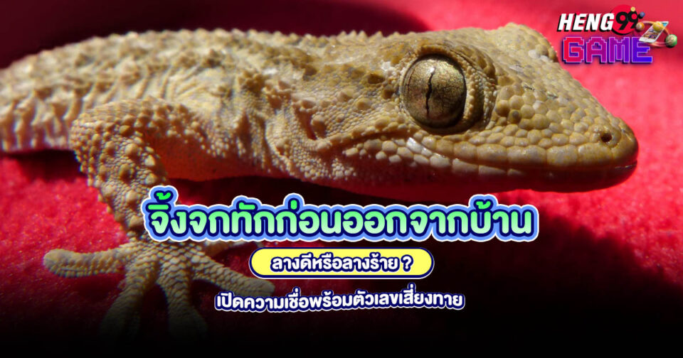 ความเชื่อ จิ้งจกทักก่อนออกจากบ้าน-"Khwamchuea Chingchok Thak Kon Ok Chak Ban"