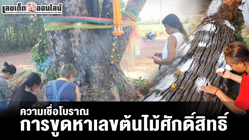 รูปภาพการขอเลขเสี่ยงทายตามความเชื่อโบราณของ lekdedonline